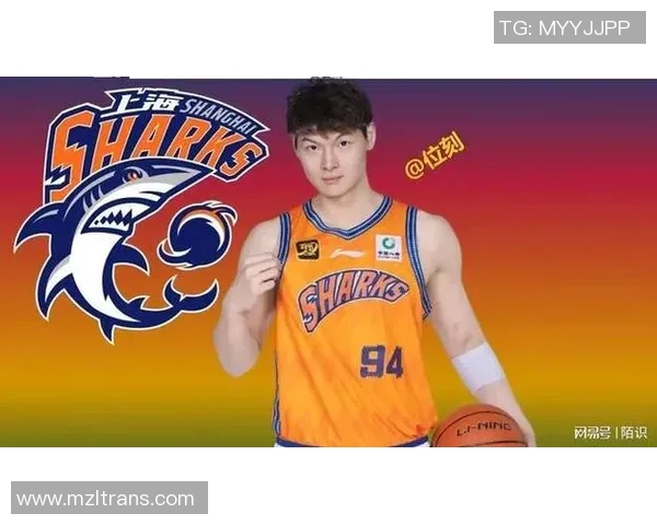 王哲林在CBA赛场的崛起与挑战：从新星到领袖的成长之路